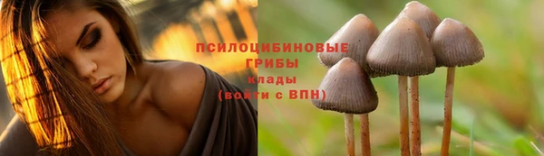 соль курить ск Армянск