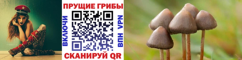 Галлюциногенные грибы Psilocybe  KRAKEN рабочий сайт  Северо-Курильск 