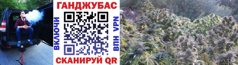 OMG как войти  купить   Северо-Курильск  МАРИХУАНА Amnesia 